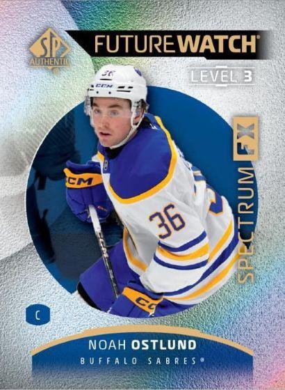 2025/26 Upper Deck SP Authentic Hockey Hobby