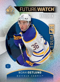 2025/26 Upper Deck SP Authentic Hockey Hobby