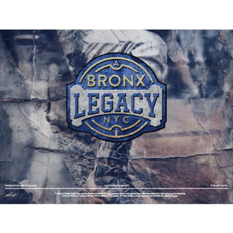 compare product 2025 Leaf A Bronx Legacy Baseball 10 Box Case