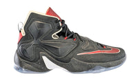Lebron James Game Used Nike Sneaker