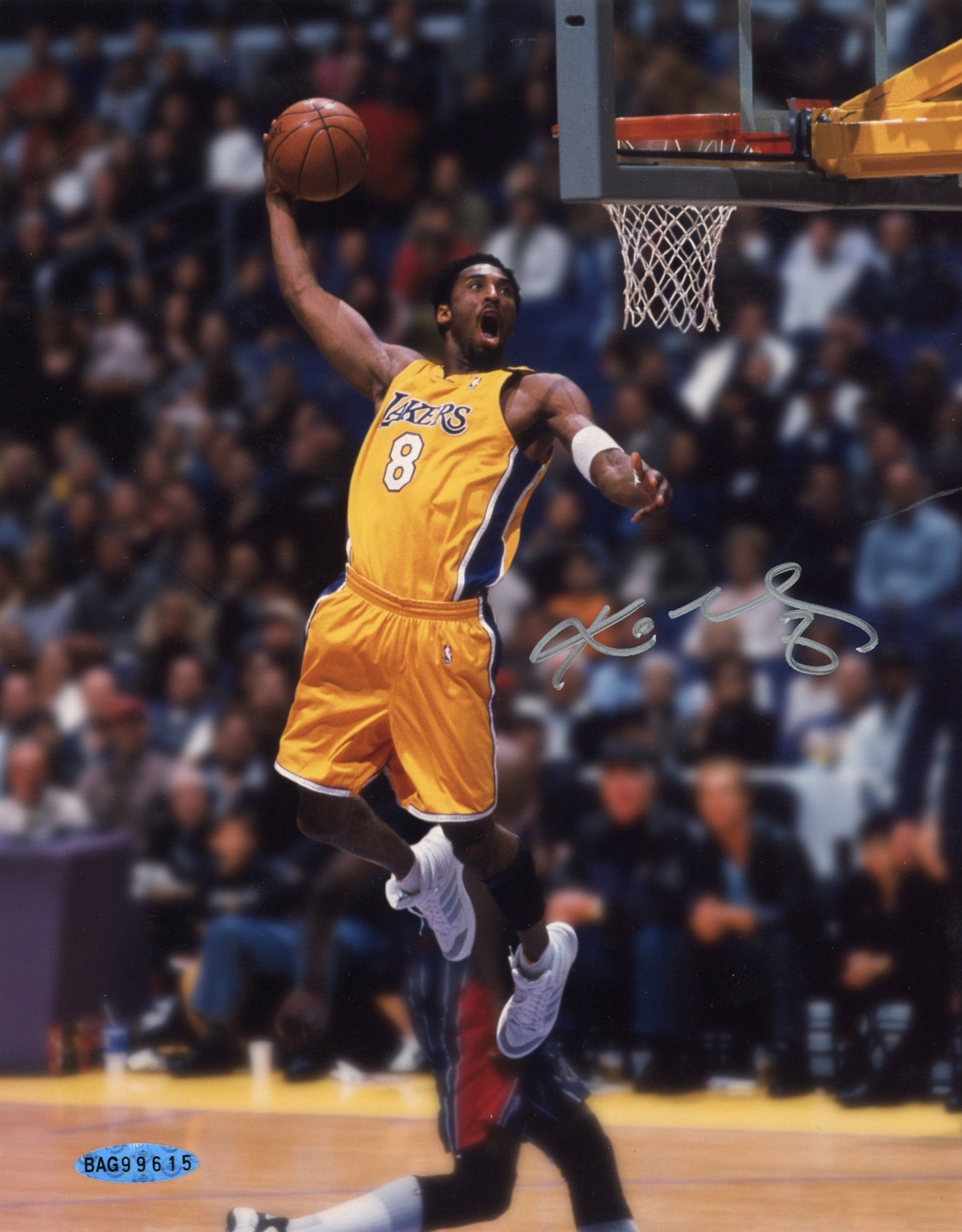 Kobe Bryant Autographed 8x10 NBA Photo
