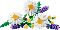 LEGO Botanicals Daisies