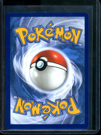 2026 Pokemon Chaos Rising Cinccino EX 119/086