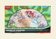 Pokemon: Masks of Ogerpon Premium Collection