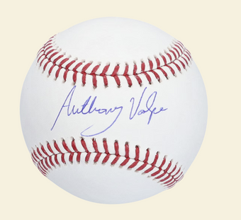 compare product Anthony Volpe New York Yankees Fanatics Authentic Autographed Baseball